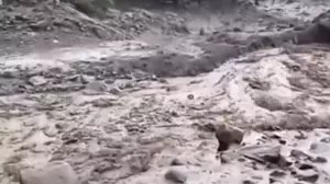 Кенияда көшкіннен 21 адам қаза тапты