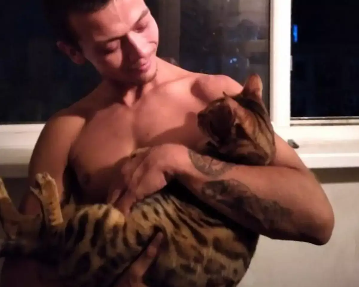 Любовь, которая мурлычет: у пары из Актау теперь 12 кошек - новости на Lada.kz 02.11.2025