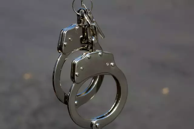 Луврдағы ұрлық бойынша ұсталған күдікті бостандыққа шықты