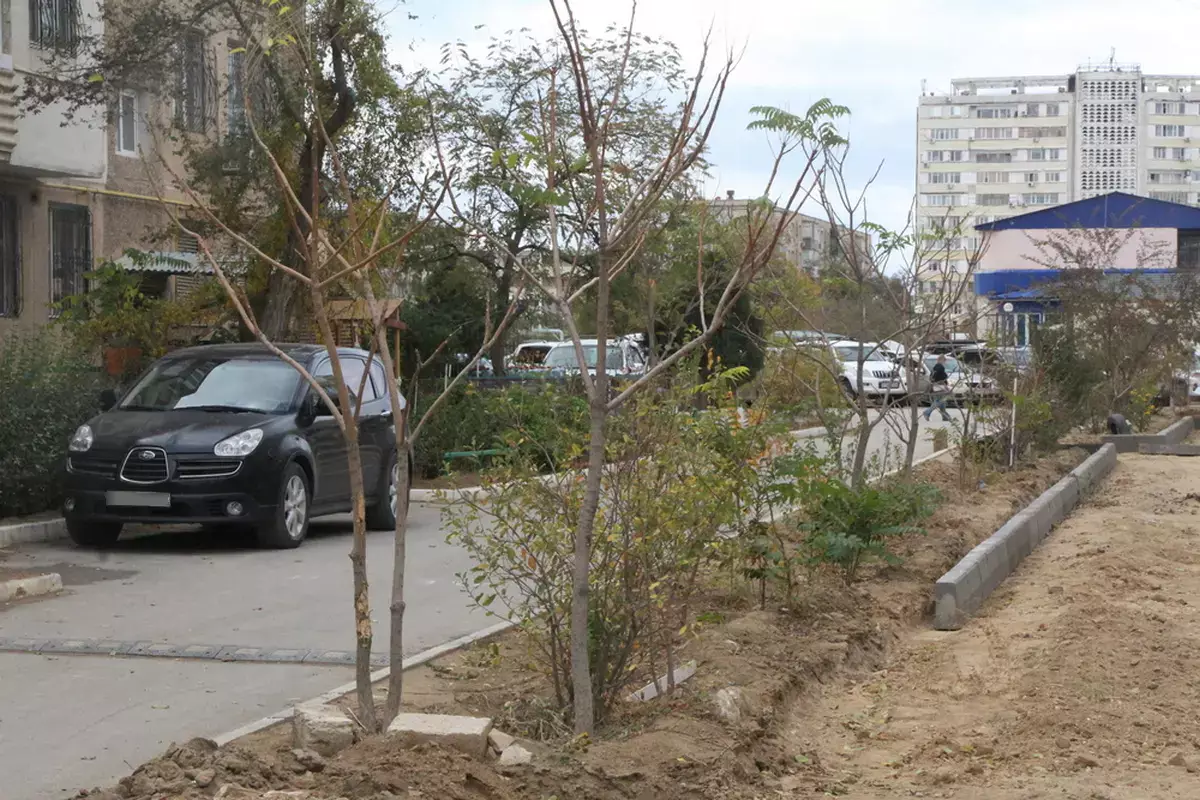 «Мы сами сажали и поливали»: спор из-за автопарковки продолжается в Актау - новости на Lada.kz 02.11.2025