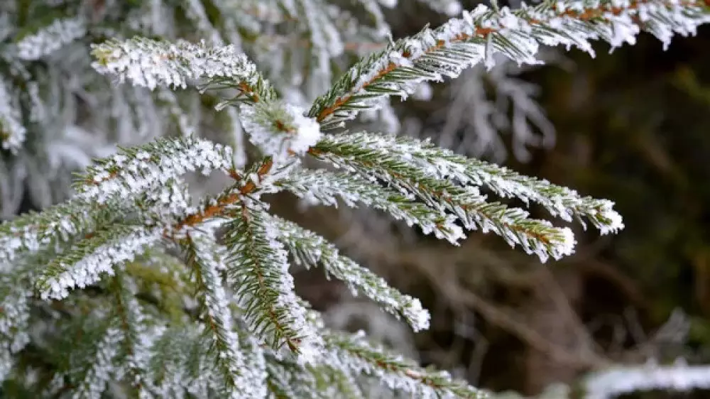 Снег, метель и гололёд накроют города Казахстана: о погоде на 3 ноября