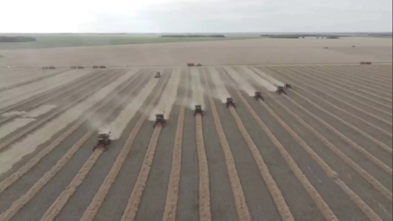 Солтүстікте 6,5 млн тонна бидай жиналды