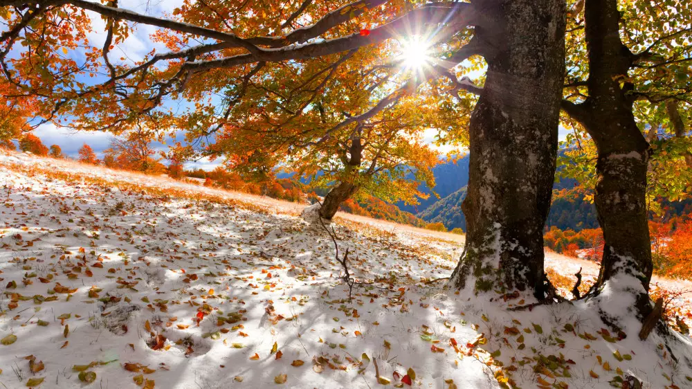 Снег и потепление до +25: погода в ноябре удивит Казахстан