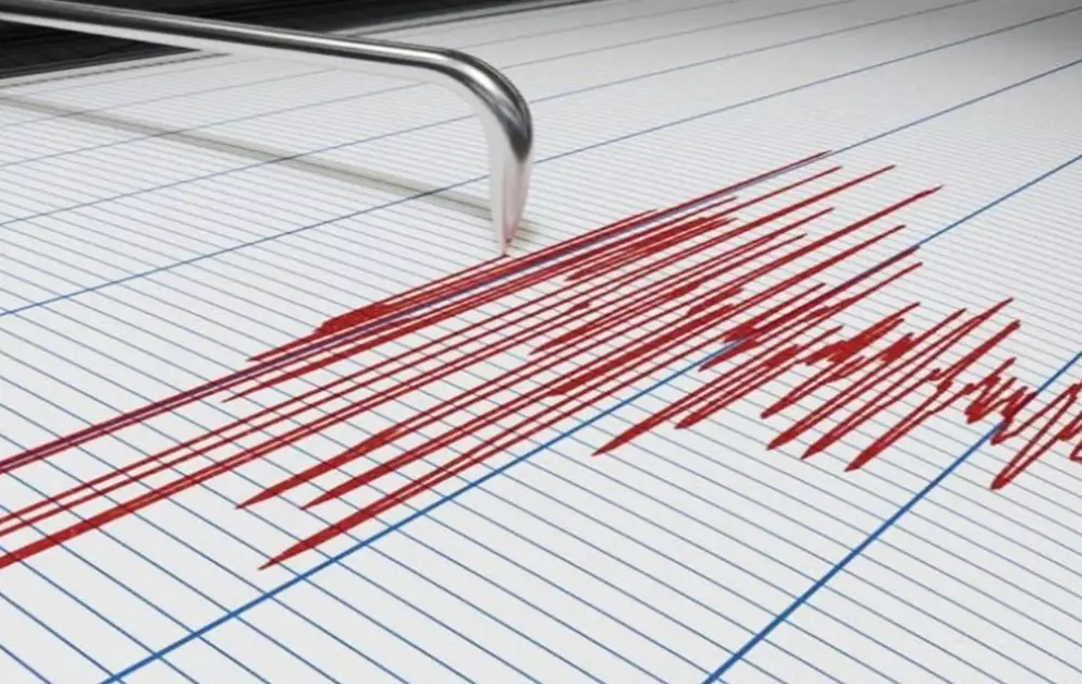 Толчки от землетрясения в Афганистане почувствовали на юге Казахстана