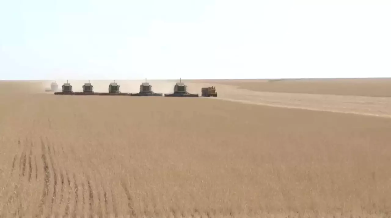 Отандық АӨК ₸700 млрд қолдау алды