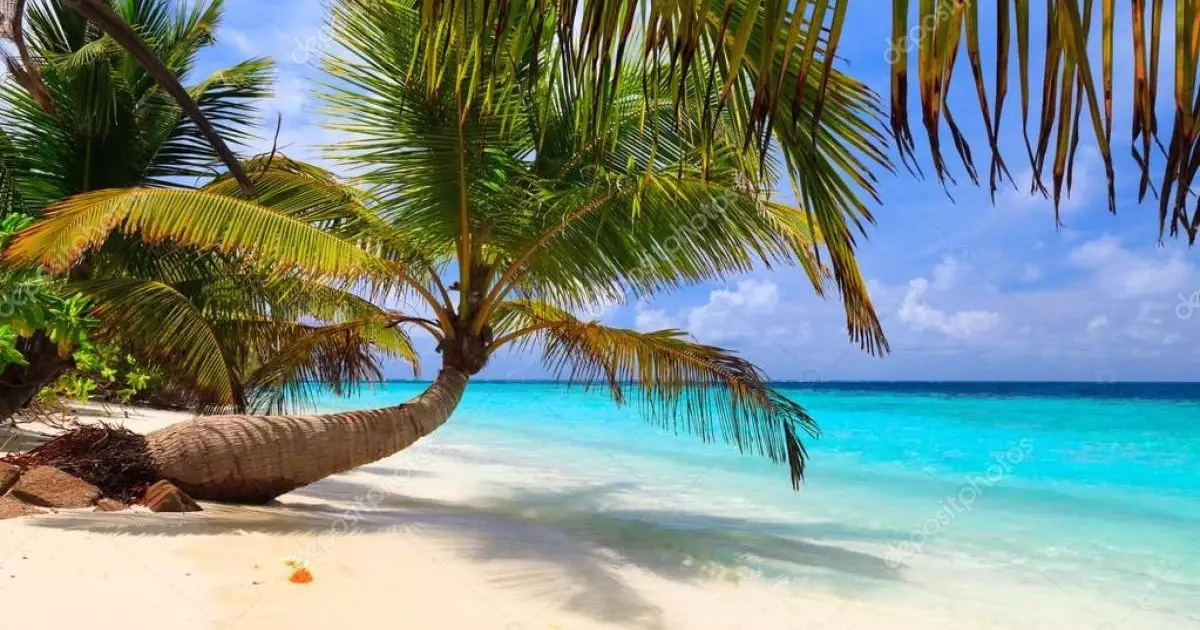  Несовершеннолетним казахстанцам запретили курить на Мальдивах 