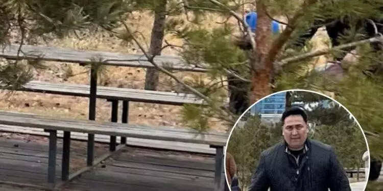 Астанада ер адам Президенттік саябақта қырғауылдарды бөлшектеген