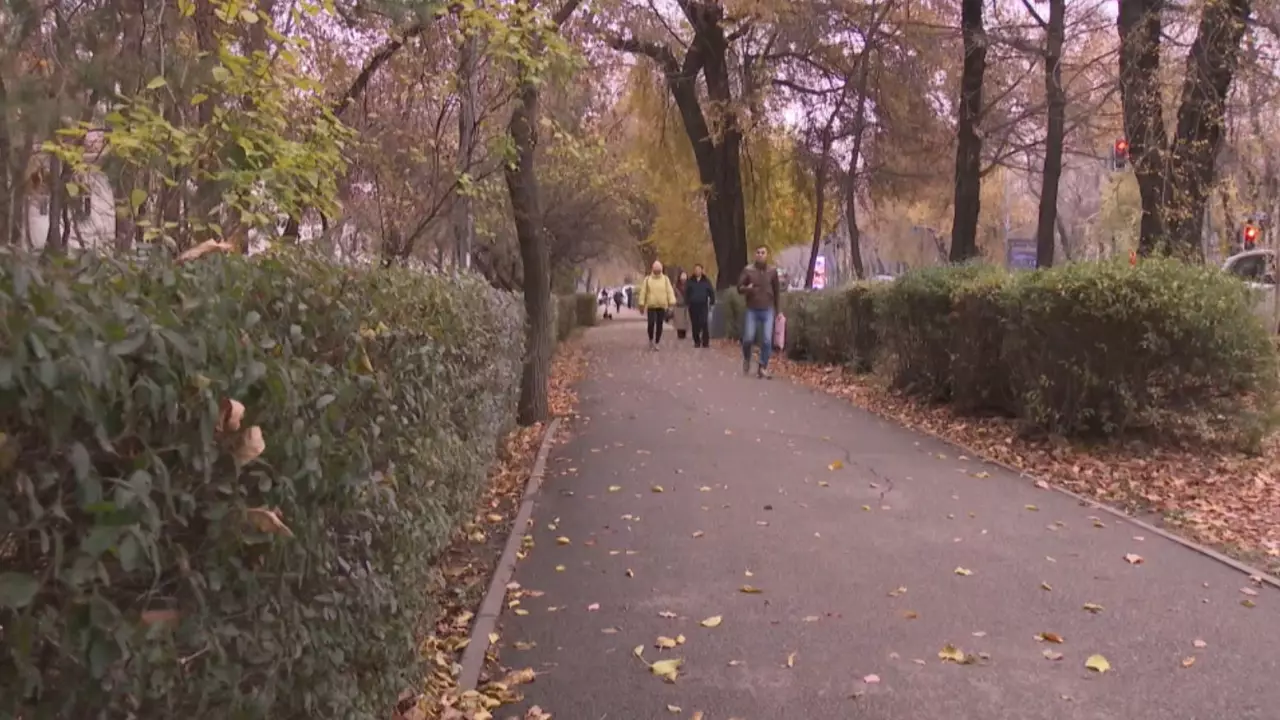 Алматыда ТЖД басшысының үш орынбасары қылмыстық жауапқа тартылды