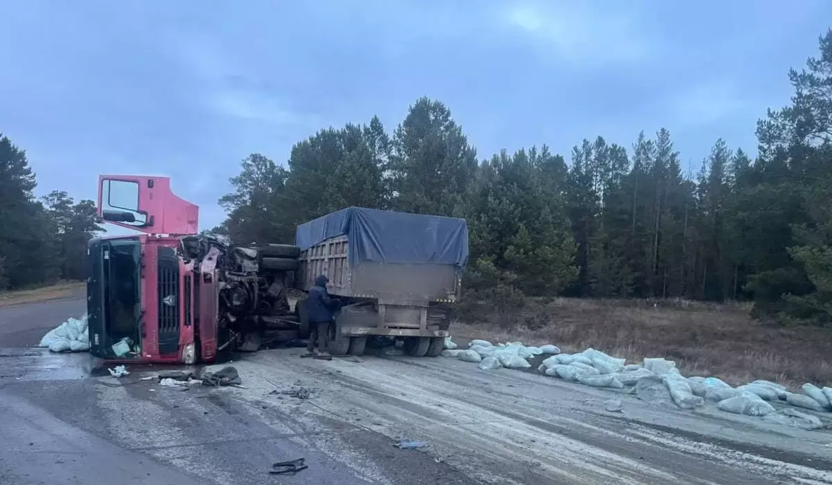 Страшное ДТП с тремя погибшими: в области Абай столкнулись Toyota Avensis и грузовик (ФОТО)