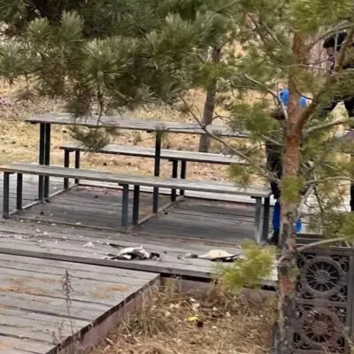 В Астане мужчина разделывал фазанов в Президентском парке