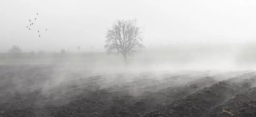 Потепление до +25 и морозы до -20: какой будет ноябрьская погода рассказали в "Казгидромете"