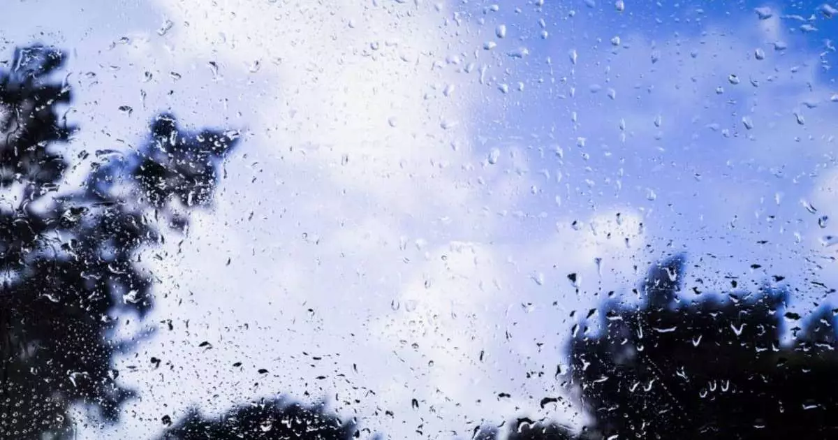  Жауын-шашын, көктайғақ... Синоптиктер ескерту жасады 