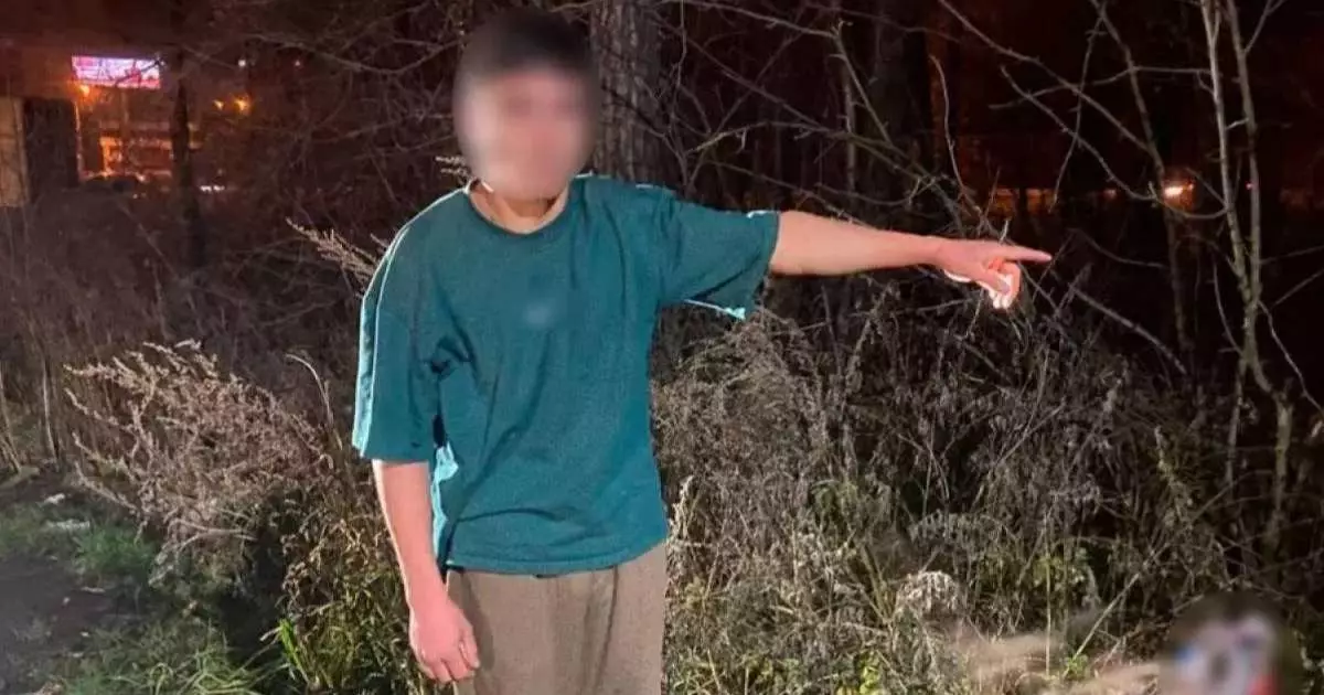  17 жастағы қасапшы жігіт өз анасының басын кесіп, жерге көміп тастады 