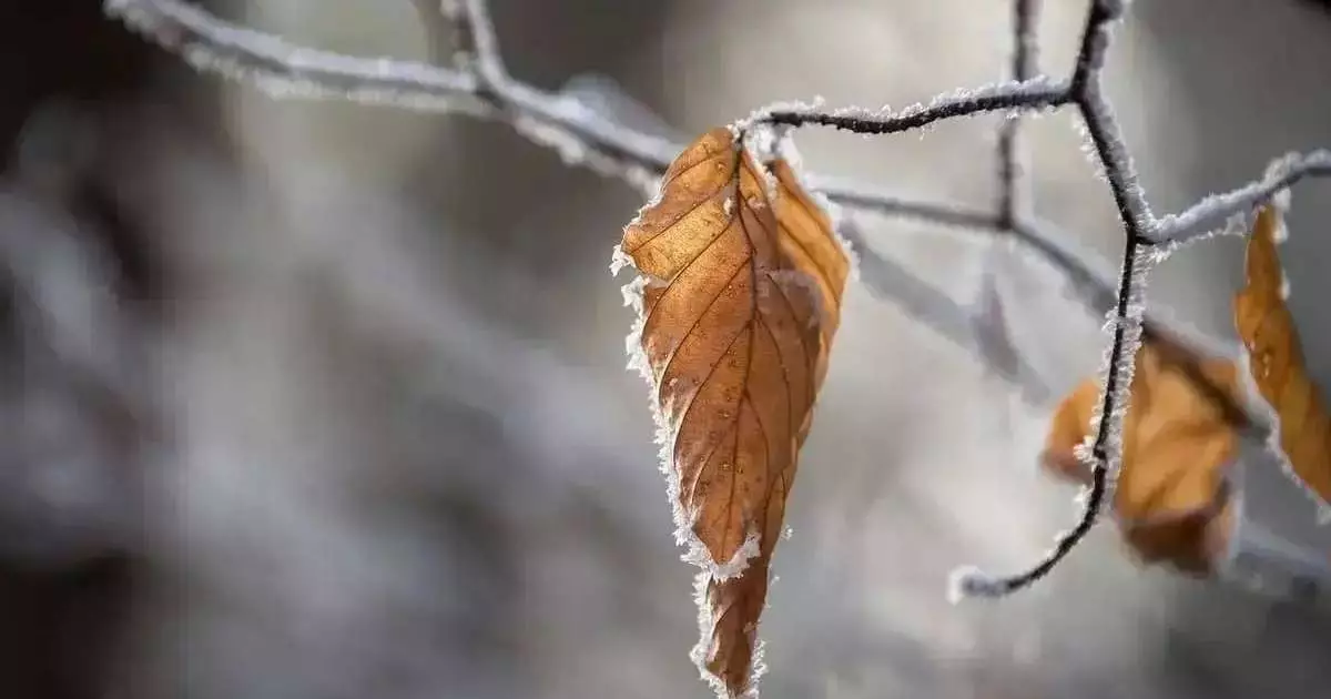  Күздің соңғы күні жаңбыр жауып, үсік жүреді 