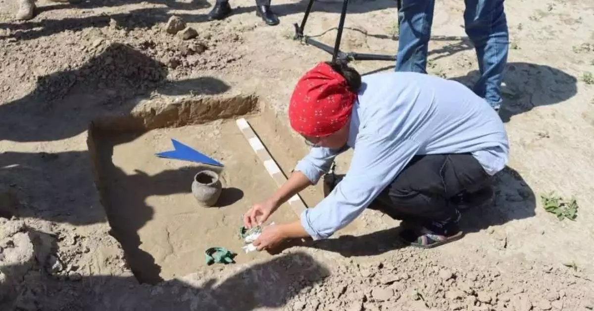  Археология мен реставрацияға лицензия бөлек-бөлек беріледі 