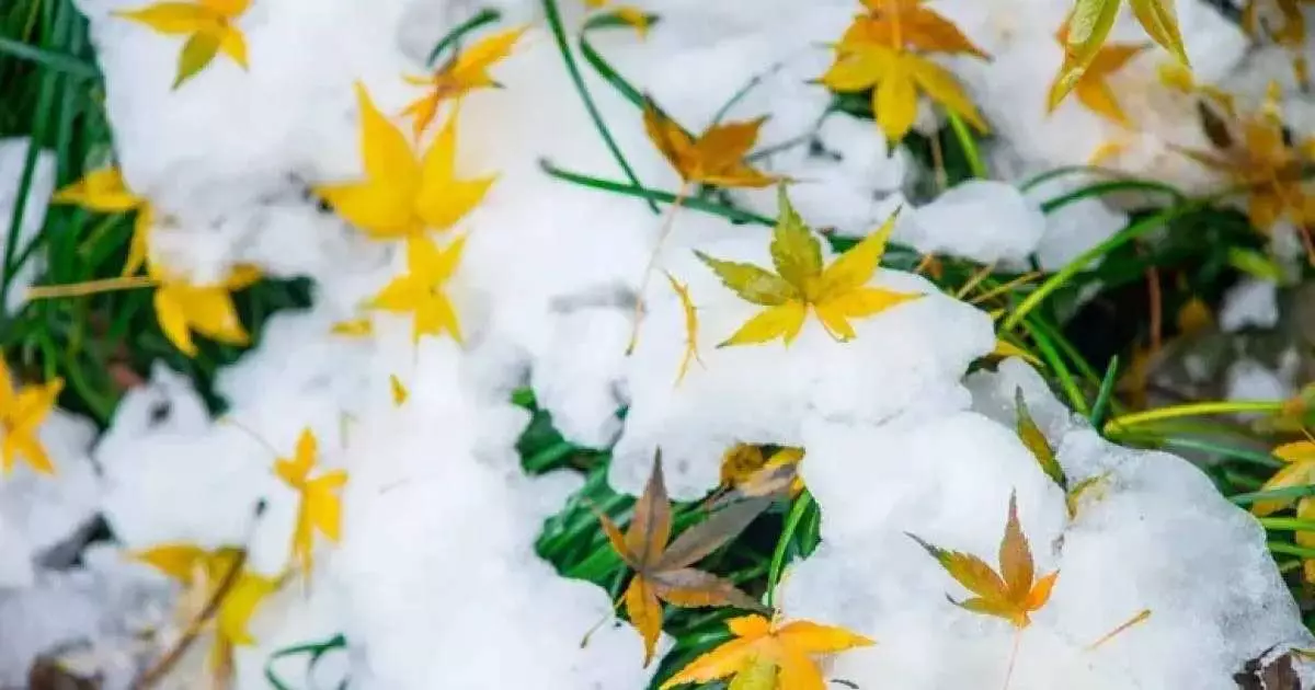  29 қазанға арналған ауа райы болжамын жарияланды 