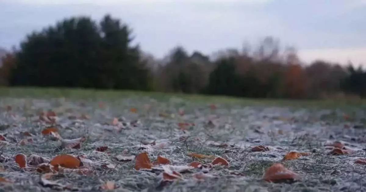  25 қазанға арналған ауа райы болжамы жарияланды 