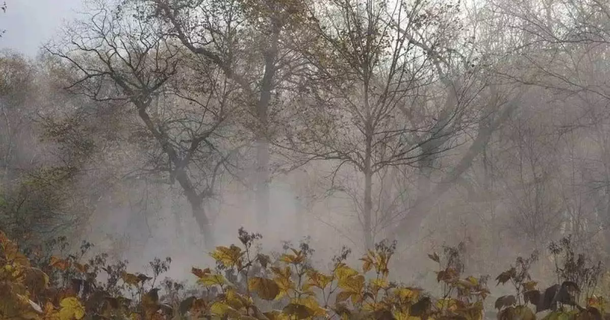  23 қазанға арналған ауа райы болжамы жарияланды 