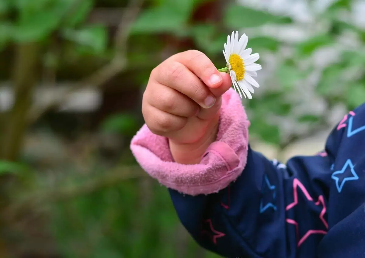 Трехлетняя девочка схватилась за оголенные провода в Павлодаре