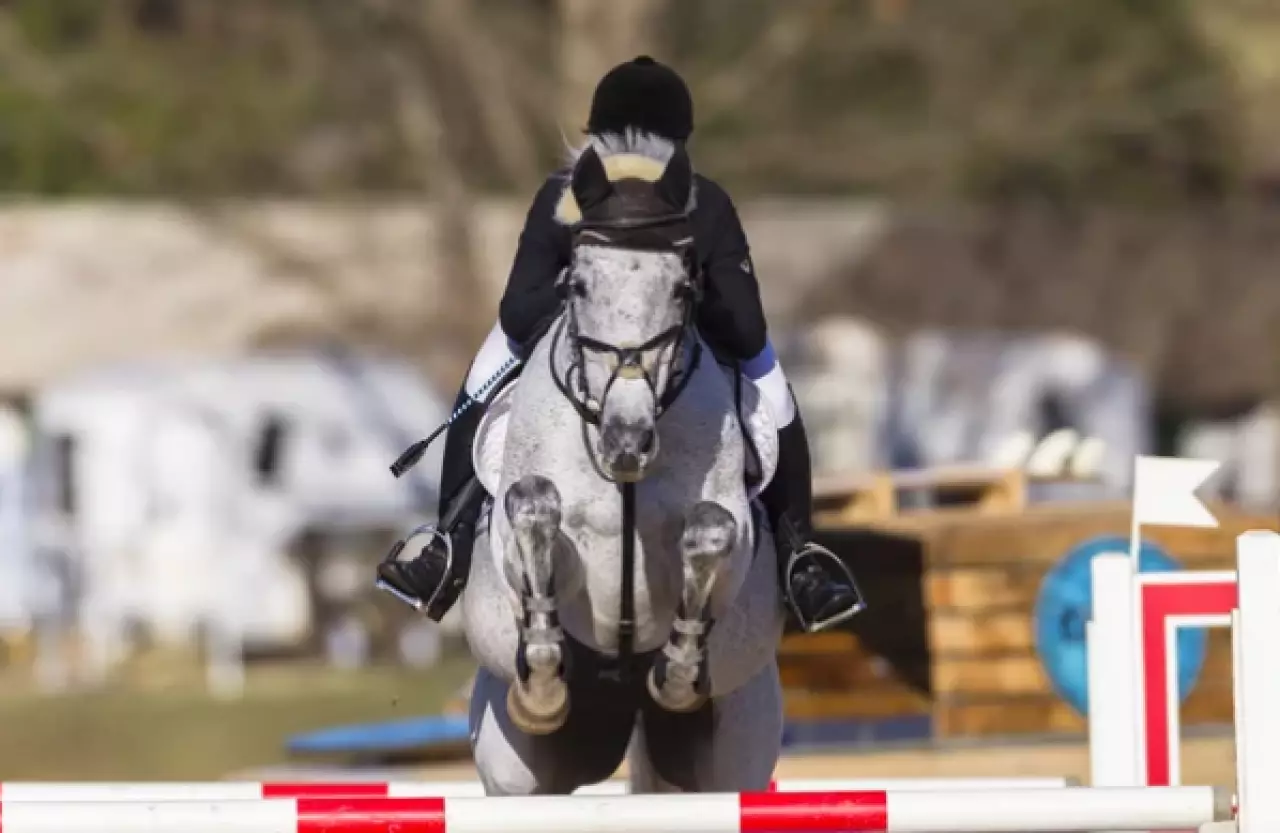 Чемпионат Казахстана по конкуру завершился в Астане