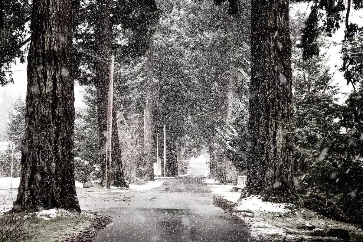 К снежной и ветреной зиме готовятся в одном из регионов Казахстана