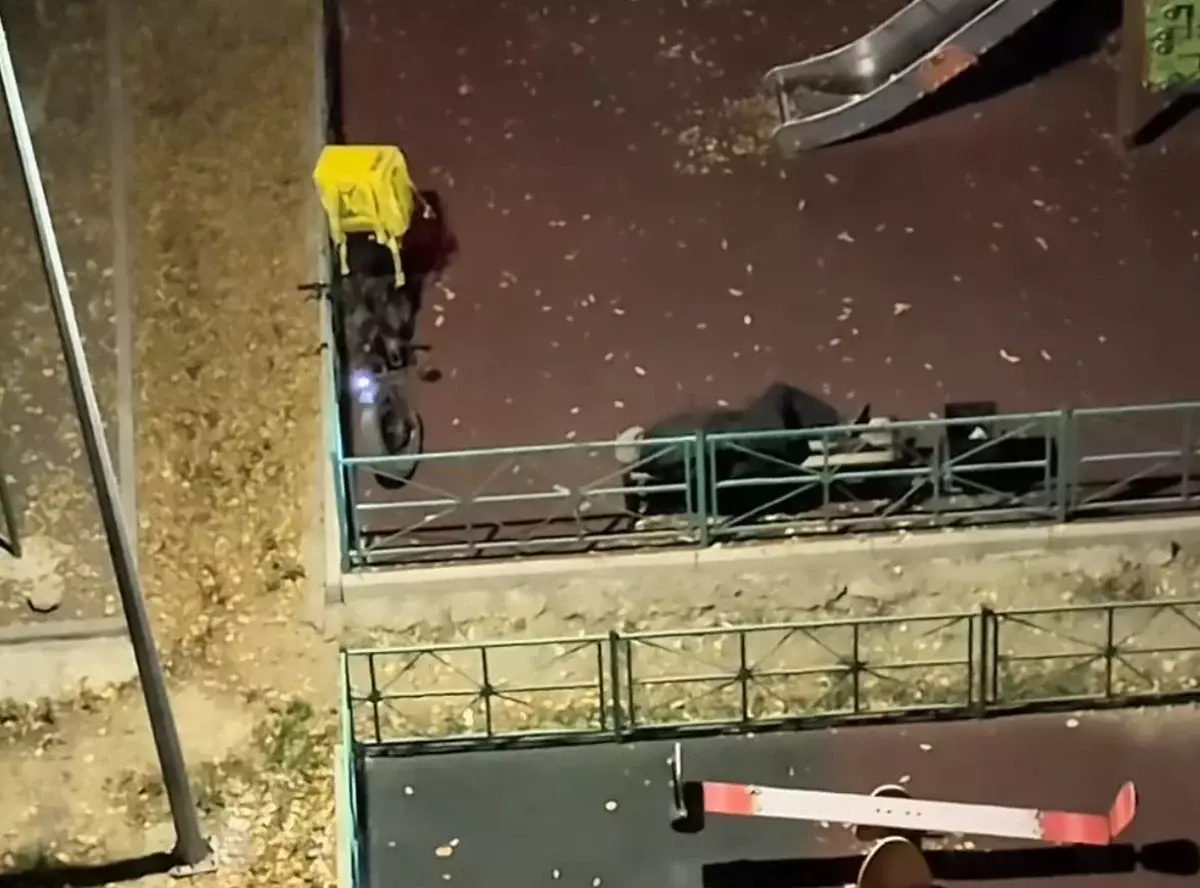 Спящий на детской площадке курьер в Астане покорил казахстанцев