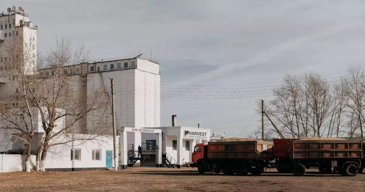  Қайта қосылған элеватор үміт сыйлады 