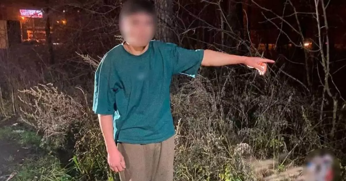  17 жастағы қасапшы жігіт өз анасының басын кесіп, жерге көміп тастады 