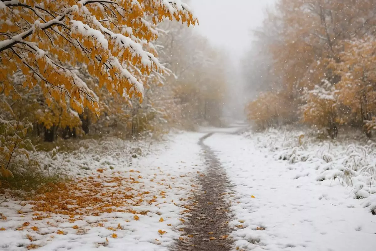 Алдағы күндері елдің басым бөлігінде қар мен жаңбыр жауады