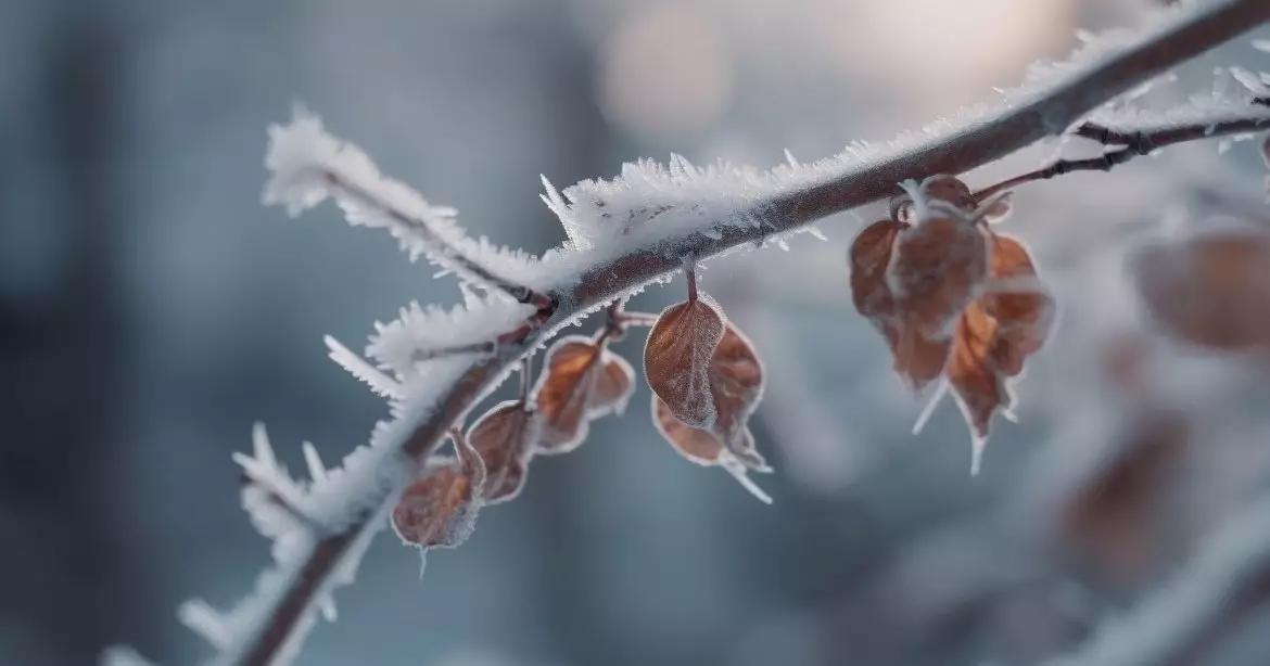 Непогода надвигается на Казахстан: метели и морозы до −15°С.