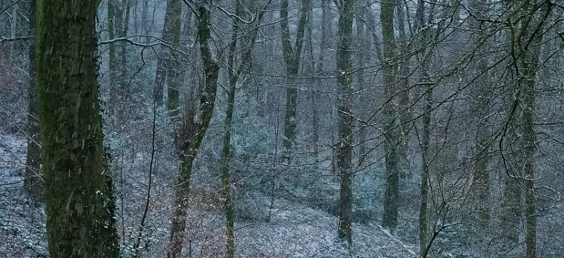 Низовые метели, заморозки и осадки: о погоде по Казахстану в ближайшие три дня