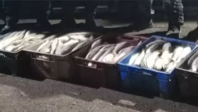 112 кг незаконно выловленной ценной рыбы изъяли в Карагандинской области