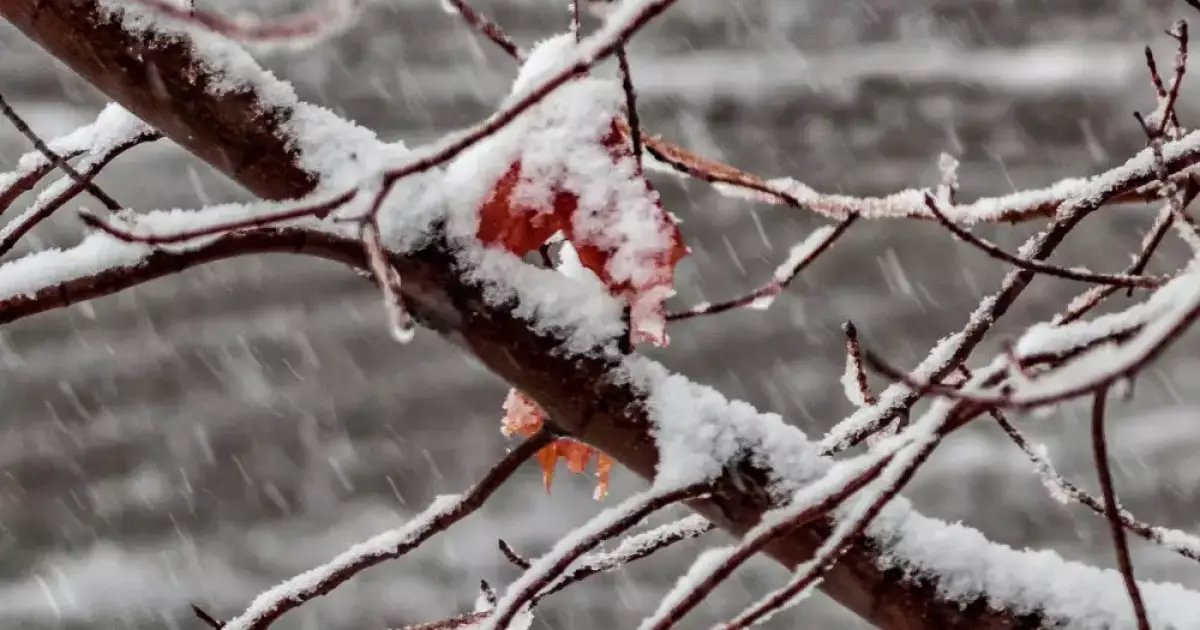   Бүгін Астанада қар жауды   