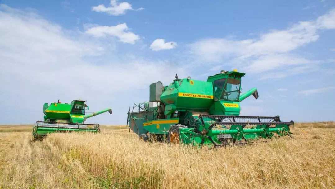 Жаңа астық экспорты 2 миллион тоннадан асты