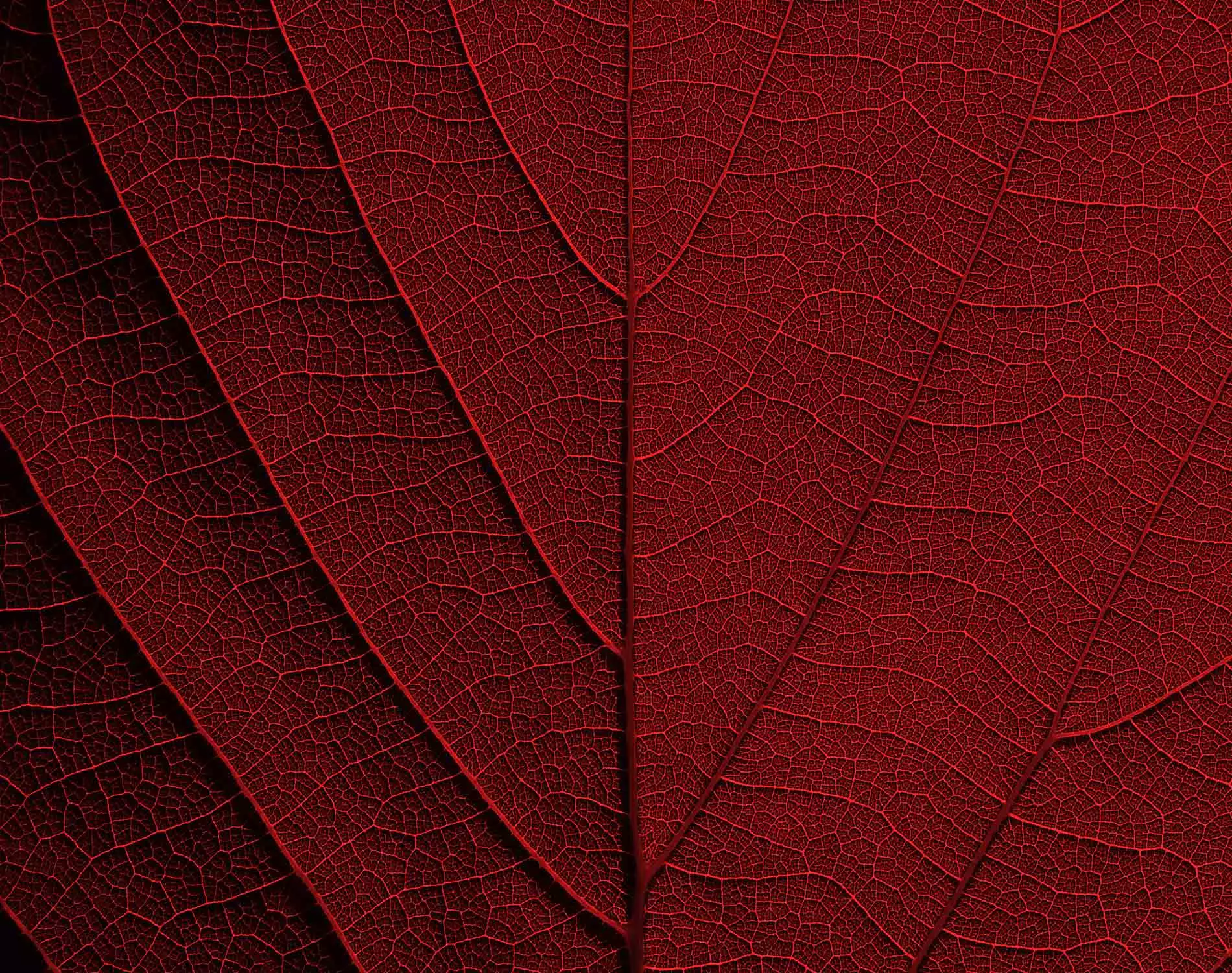 Казахстан одобрил закон об искусственном интеллекте: ключевые положения об авторском праве и ИИ