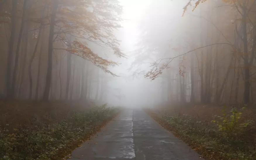 Гололед и туманы ожидаются во вторник в ряде регионов Казахстана