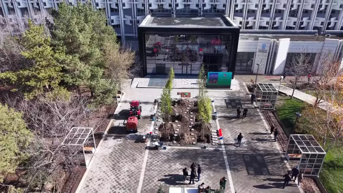 Геологтар аллеясына шынар тұқымды ағаштар отырғызылды