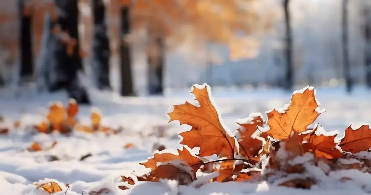  «Қар, аяз, боран»: Қазақстанның бірнеше өңірінде дауылды ескерту жарияланды 
