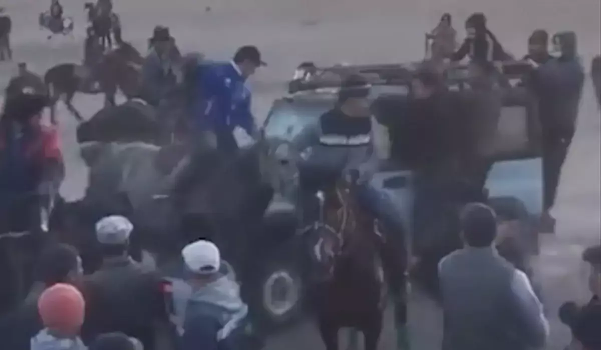 Қызылорда облысында көкпарда автокөлік аттарды қағып кетті (ВИДЕО)