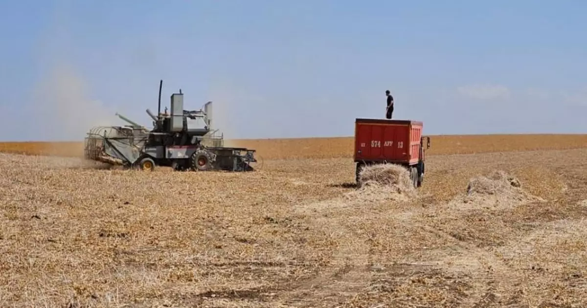   Шымкент агросекторы жаңғырып келеді   