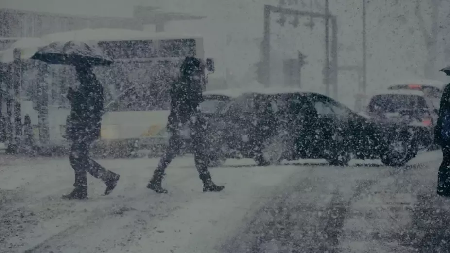 Ішкі істер министрлігі жүргізушілерге үндеу жасады