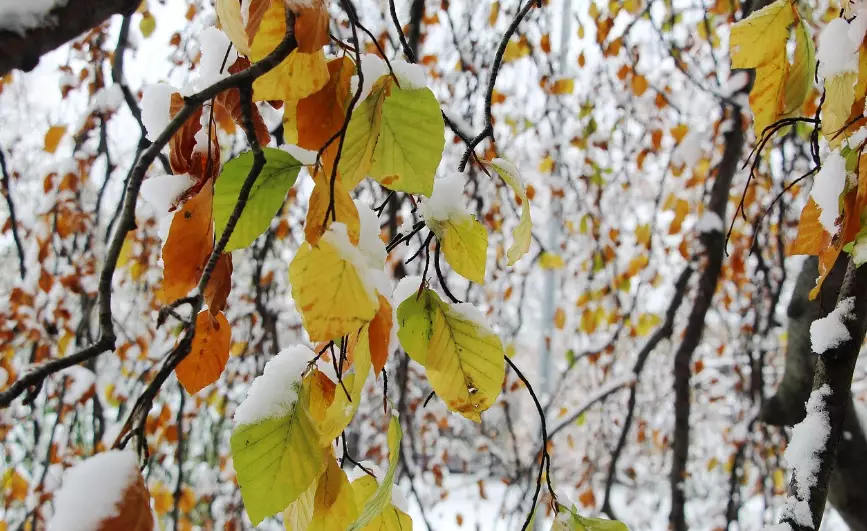 Осадки ожидаются во вторник в Астане, Алматы и Шымкенте