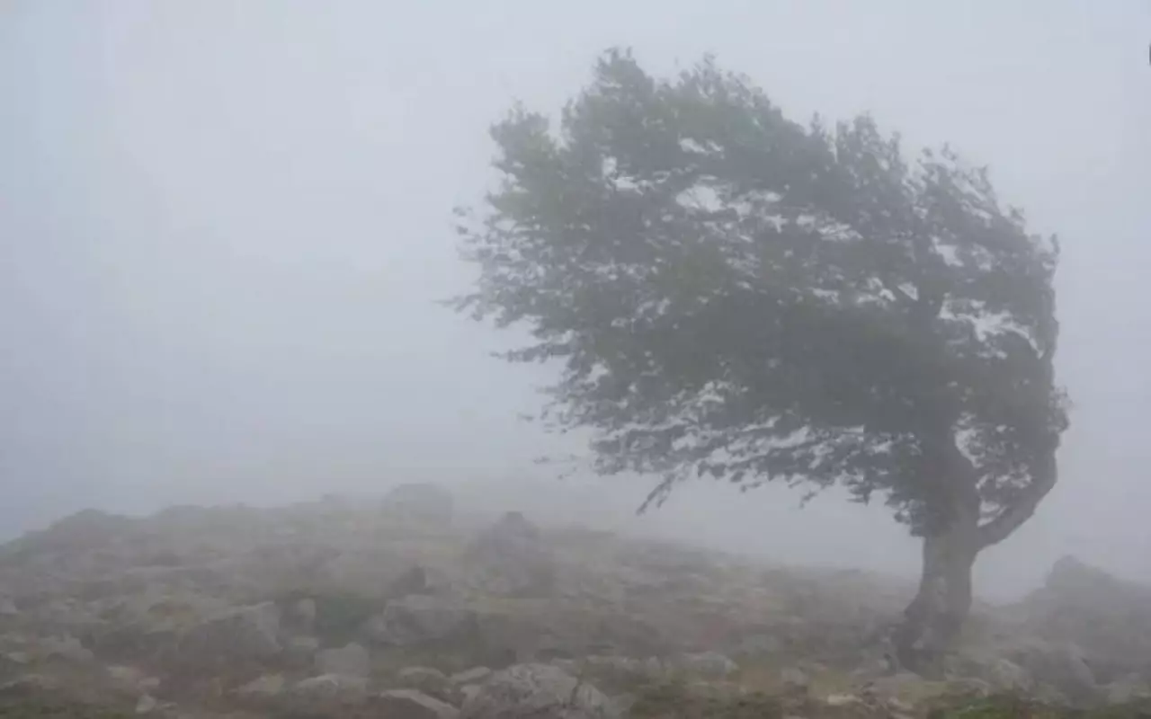 Дожди и снегопады ожидаются в ближайшие три дня
