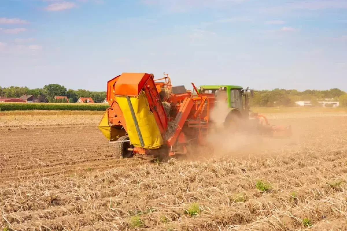 В Казахстане планируется внедрение механизма кредитных линий для аграриев