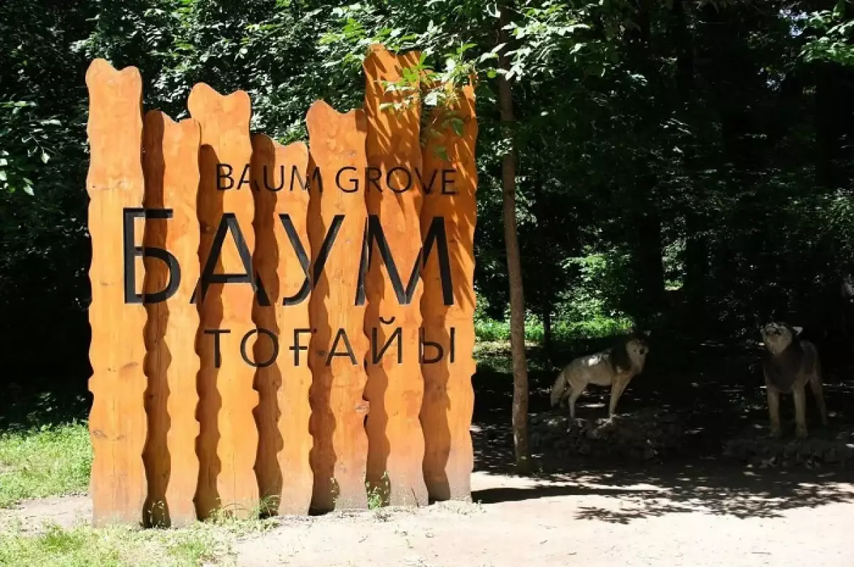 Почему важно благоустроить Рощу Баума, объяснили в Алматы