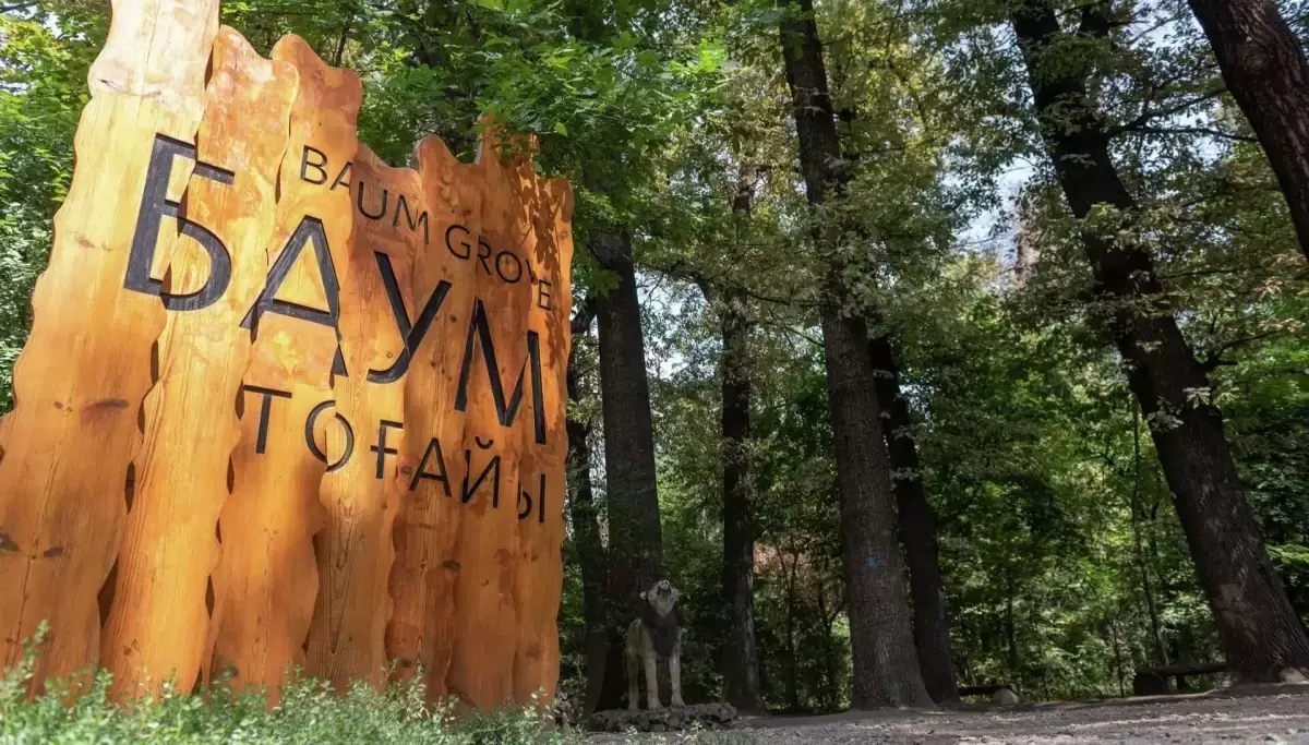 Белсенділер Алматы әкімдігінің әрекетіне қарсы петиция әзірлеп жатыр