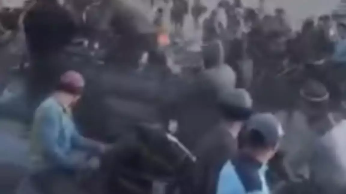 Қызылорда облысында өткен көкпар кезінде көлік жылқыларды аяусыз қағып өткен