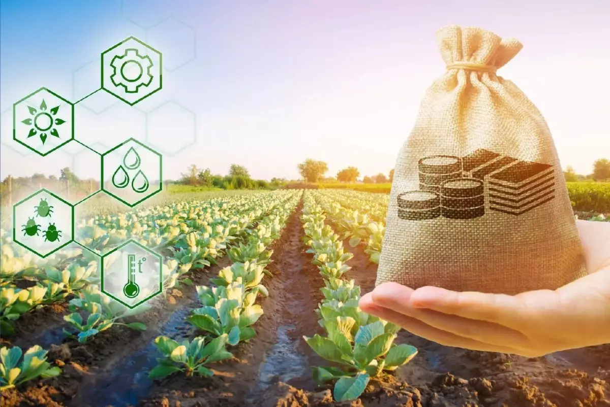 Объем льготного кредитования АПК впервые достиг 1 трлн тенге