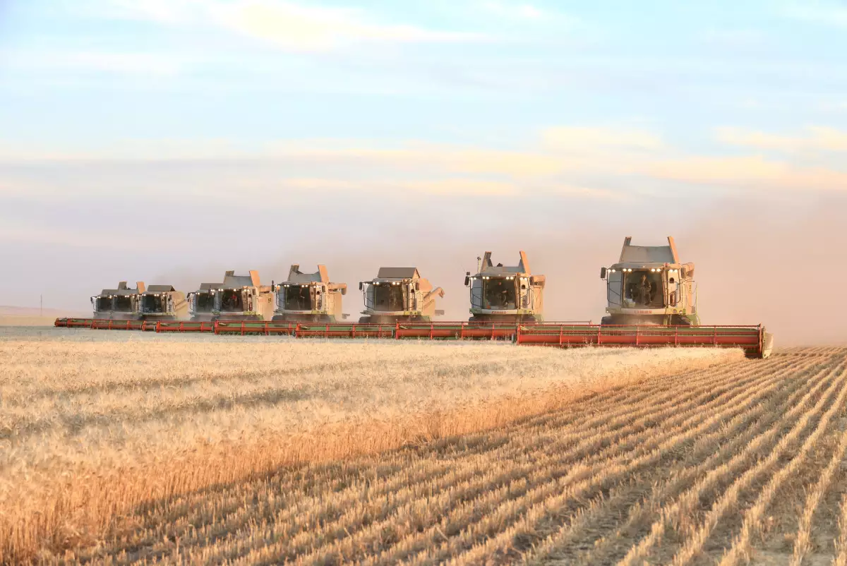 2025 год стал рекордным по урожайности в Казахстане