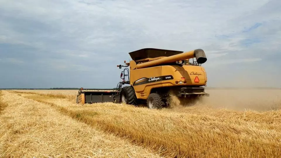 Қазақстанда жаңа өнімнен 2,2 млн тонна астық экспортталды